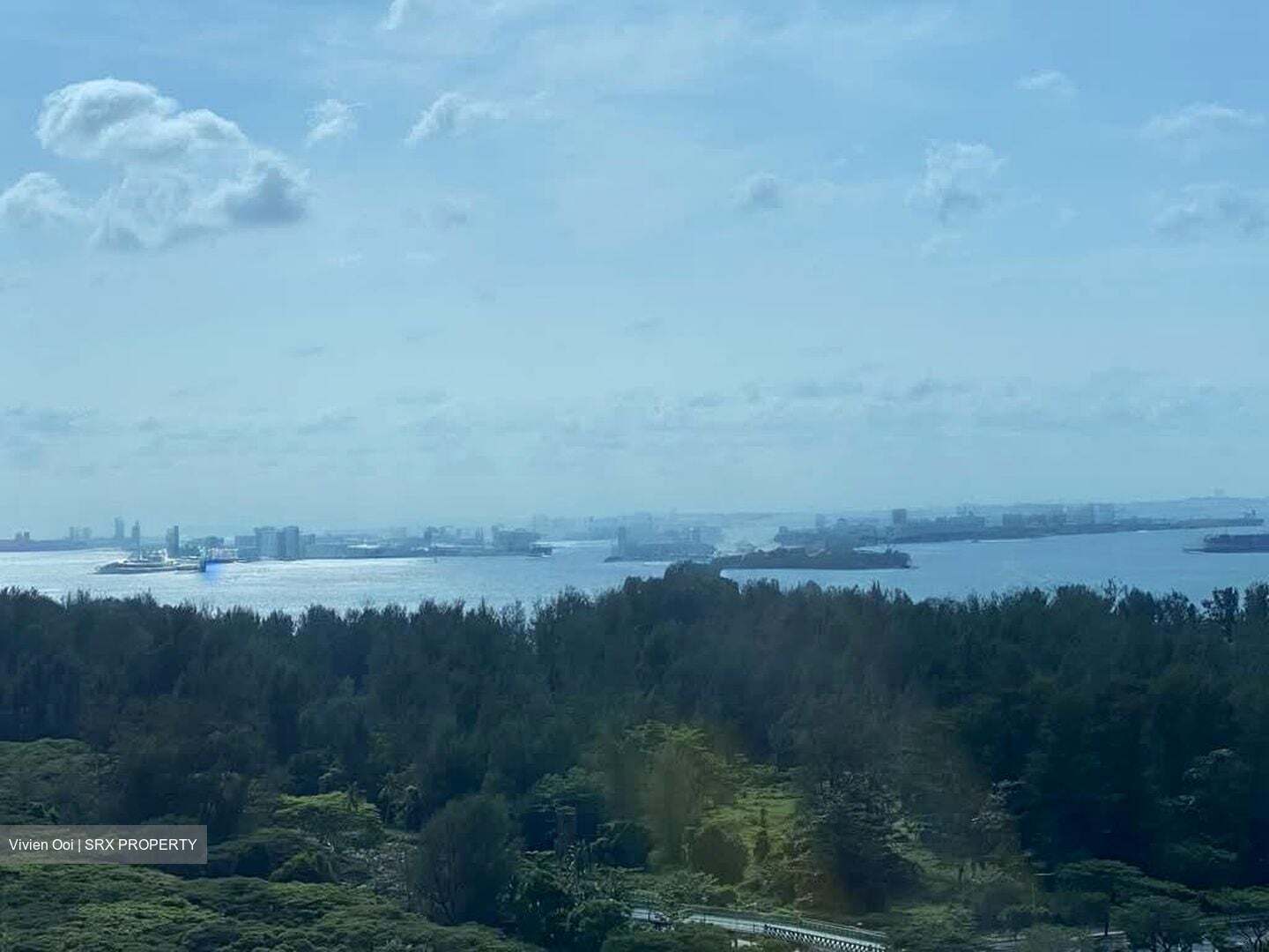 The Waterside (D15), Condominium #582278261
